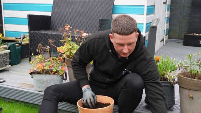 How to plant your Anemone Blanda Spring Bulbs! смотреть онлайн