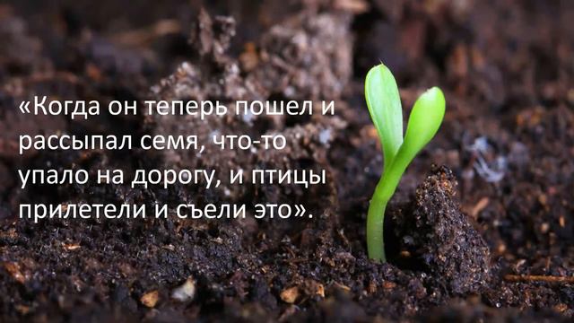 TEMA: О BIBLE "MAPKA 4:1-20" смотреть онлайн