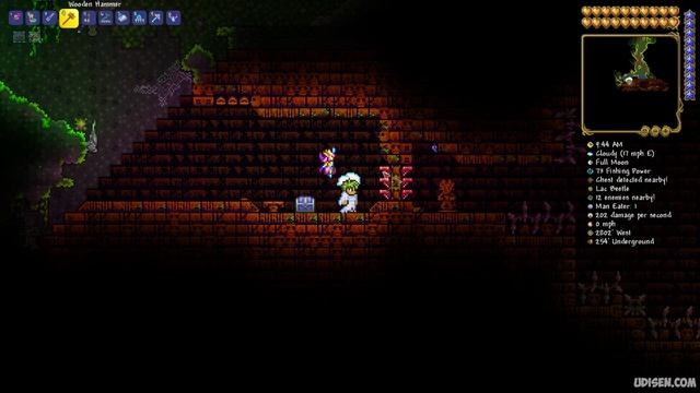 Terraria how to get JUNGLE TEMPLE FAST (NEW SEED for 1.4.4.9) (2023) смотреть онлайн