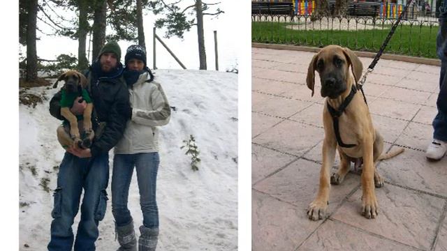Mi Apolo 19/01/2008 смотреть онлайн