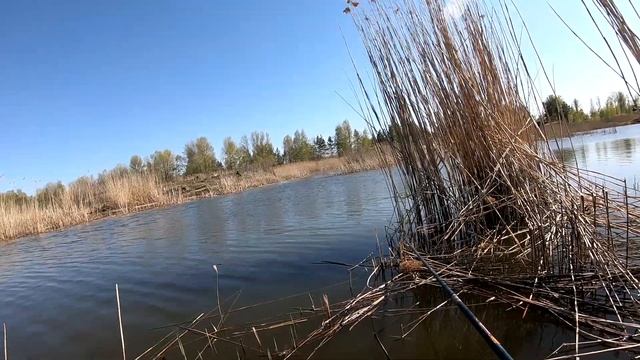 РЫБАЛКА С БОКОВЫМ КИВКОМ! ЛОВЛЯ ЛЕЩ-КАРАСЬ!!! смотреть онлайн