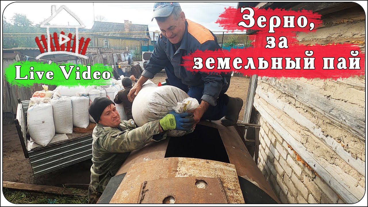 Деревенские будни. Получаем зерно за земельный пай. смотреть онлайн