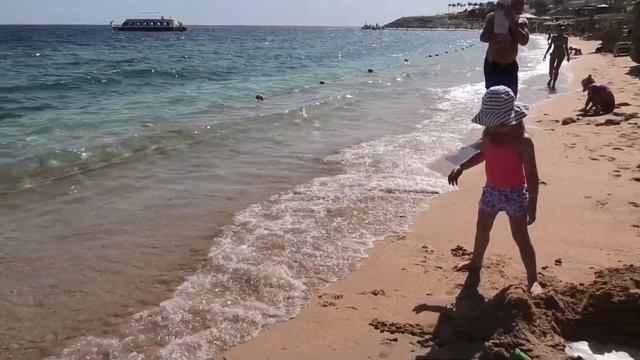 Алиса отдыхает в ЕГИПТЕ в феврале!!! Танцы, море, Сохо, рыбки!!! смотреть онлайн
