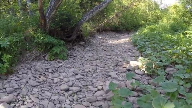 Хариус длиной в несколько километров смотреть онлайн