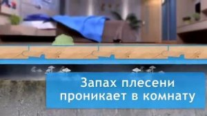 Порилекс НПЭ ЛПНД