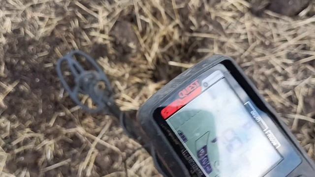 Чем заняться после работы? - Поиском старинных предметов с помощью металлоискателя! смотреть онлайн