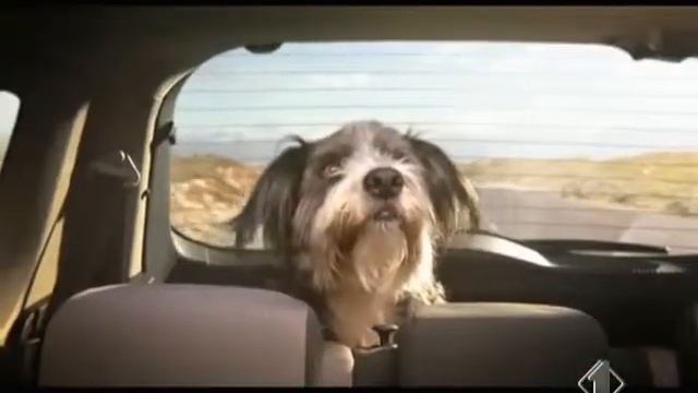 Renault Grand Modus Reklamı (2008) смотреть онлайн