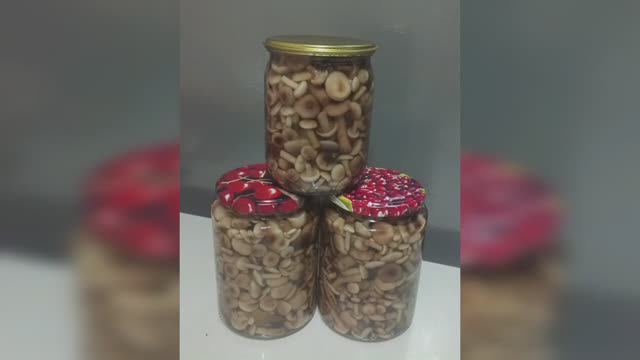 Грибы маринованные на зиму.
#грибы#грибымаринованные#грибыназиму#опята#опятамаринованные смотреть онлайн