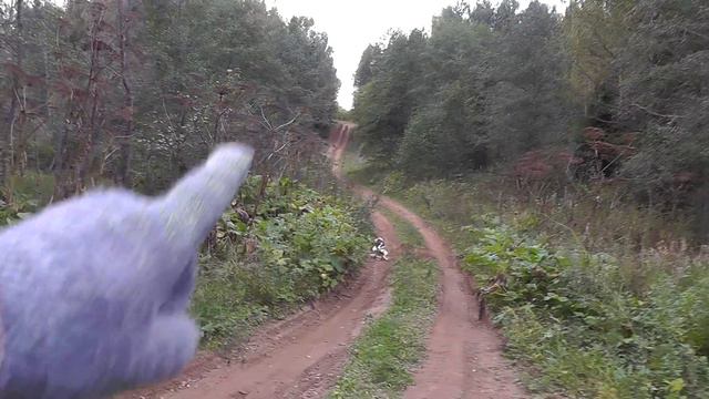 Выехали в лес с Эвой, сделали солонец, переставили ловушку, подняли зайца. смотреть онлайн