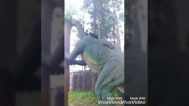 Выходные в Красноярске :-):-):-) смотреть онлайн