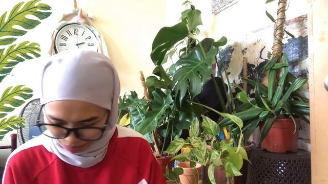 Buying a Rare Variegated Monstera Albo | Exciting Unboxing Wishlist Plant | Cheap Rare Monstera Alb смотреть онлайн