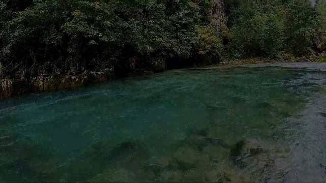 АБХАЗИЯ 2021. ЛОВЛЯ ФОРЕЛИ ОСЕНЬЮ в юпшарском ущелье. ЧЕРНОРЕЧЕНСКОЕ ФОРЕЛЕВОЕ ХОЗЯЙСТВО