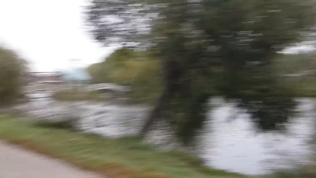 Свалка-помойка в природоохранной зоне города Бронницы. смотреть онлайн
