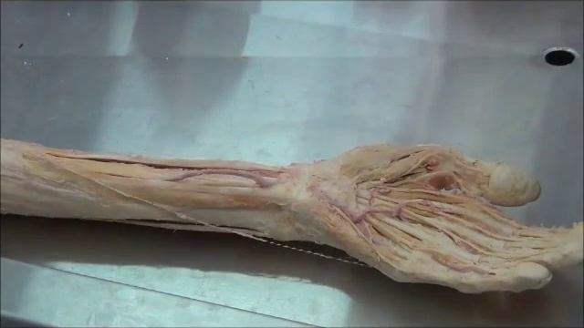 Делай То, Что Любишь