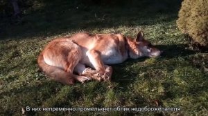 Заговор чтобы убрать человека с работы: читать в домашних условиях