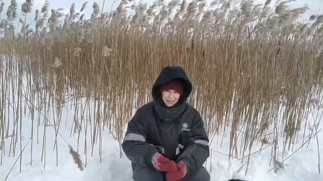 Рыбалка на ЖЕРЛИЦЫ на ЩУКУ в ГЛУХОЗИМЬЕ!!! Аномальная зима 2021!!! Рыбалка в БЕЛАРУСИ! смотреть онлайн