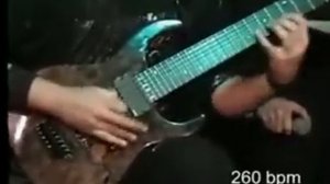 Полет шмеля. Мировой рекорд 320 ударов в минуту