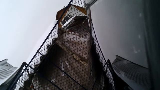 Флекс смотреть онлайн