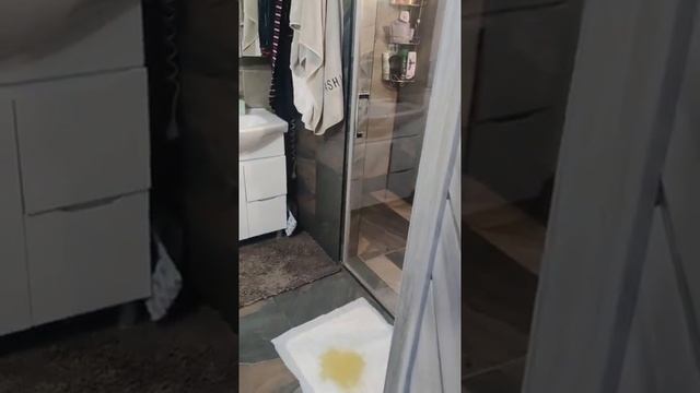 Милославская 31В смотреть онлайн