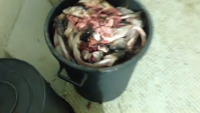 После одного выхода в море смотреть онлайн