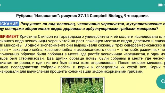 Эксперимент №5 из Campbell для ЕГЭ - Виды-вселенцы и нарушение мутуализма (микоризы) смотреть онлайн