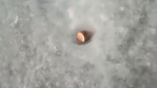 Пуля и лед смотреть онлайн