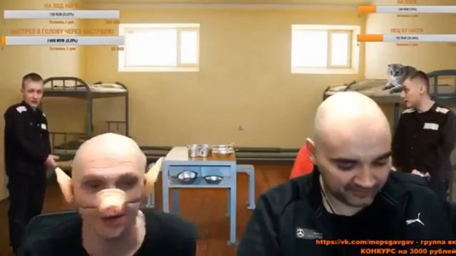 МОПС ПРЕВРАТИЛСЯ В ПОРОСЕНКА ДИКИЕ ТАНЦЫ ПОРОСЕНКА МОПСА смотреть онлайн