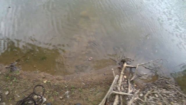 Я ПОЙМАЛ СТРАННЫЙ ЯЩИК НА ПОИСКОВЫЙ МАГНИТ! СОДЕРЖИМОЕ УДИВИЛО смотреть онлайн