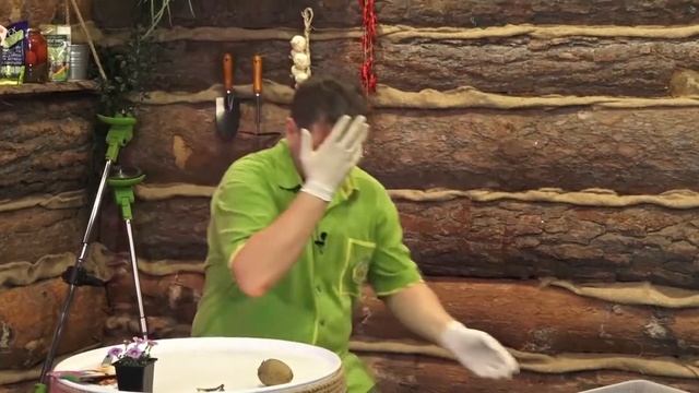 Подготовка картофеля к посадке смотреть онлайн