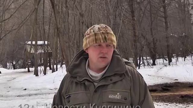Подкормка дикого кабана смотреть онлайн
