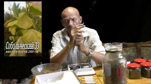 ДЕГУСТАЦИЯ - ТАБАК СОБОЛЬЧЕСКИЙ 33