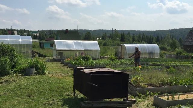 сенокос