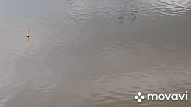 Ловля ротана на поплавок смотреть онлайн