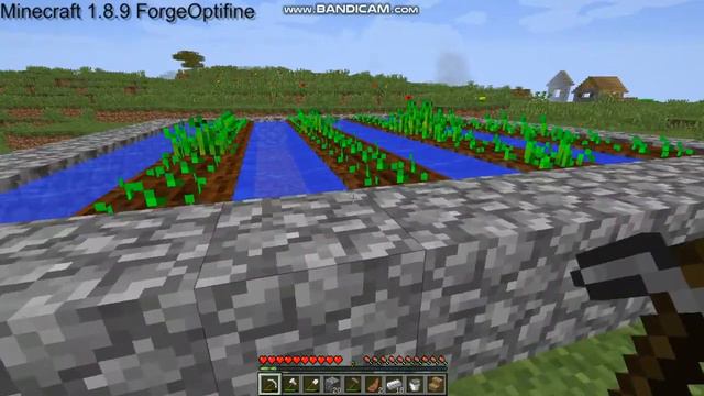 Part 2 (дом сделан,начинаем делать все для хозяйства)