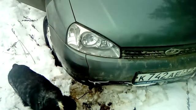 Съездил на охоту, минус бампер. смотреть онлайн