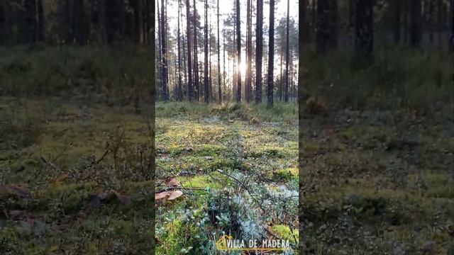 Живи за городом и наслаждайся этим смотреть онлайн