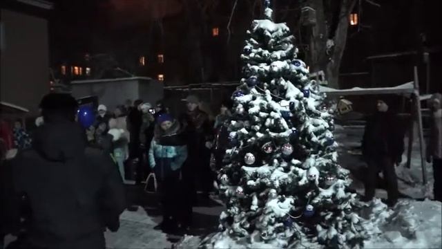 Одной из первых в Комсомольске открылась елка в зооцентре «Питон» смотреть онлайн