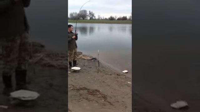 Рыбалка на Берекете. Серебристый карась смотреть онлайн