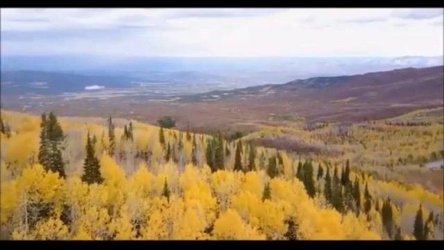 Осенний бал.Флешмоб 11 класс смотреть онлайн