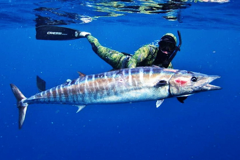 Подводная охота на Ваху (1 часть) смотреть онлайн