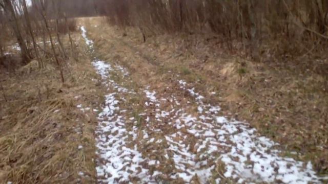 Поиск рогов лося. смотреть онлайн