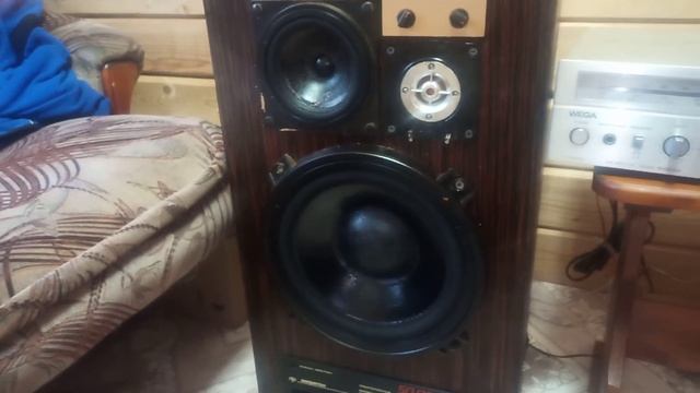 проверка Амфитон 50ас022 смотреть онлайн