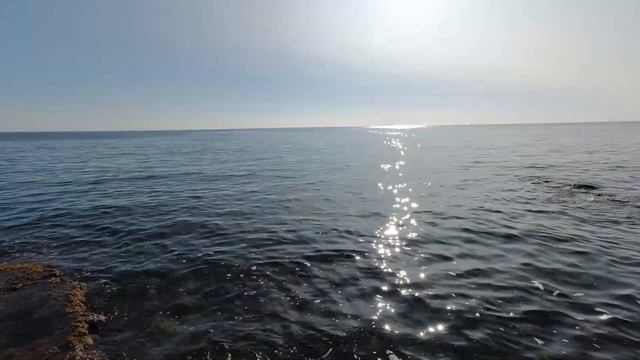 Рыбалка в ноябре.🐟 Что поймали?🎣 Пляжные акробаты из Кубы!🎪 смотреть онлайн