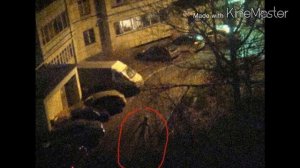 Жердяй (палочник-буратино)