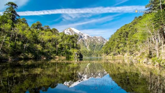 Медитация нового дня. Зийнат Зиё смотреть онлайн
