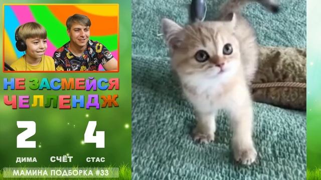 СТРАННЫЕ ЛЮДИ и СМЕШНЫЕ ЖИВОТНЫЕ! // НЕ ЗАСМЕЙСЯ ЧЕЛЛЕНДЖ // Мамина подборка #33 смотреть онлайн