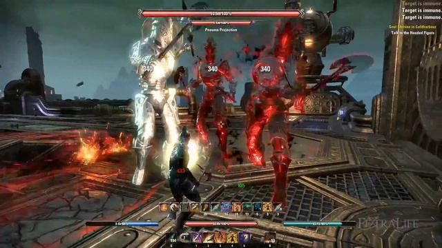 Elder Scrolls Online: Battalion Defender Set Build Guide смотреть онлайн