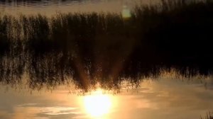 Нежная лечебная музыка здоровья и для успокоения нервной системы и массажа