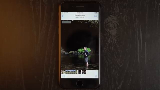 How to use Live Photos on iPhone! смотреть онлайн