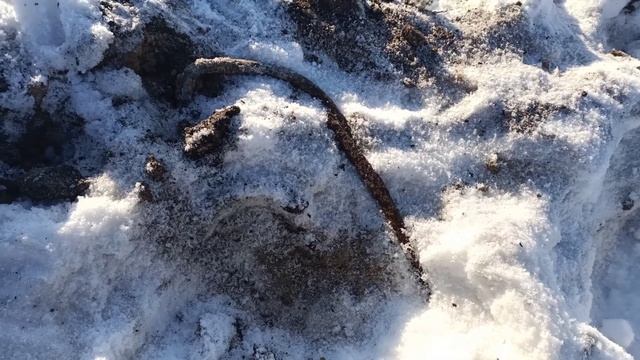 Ищем металл зимой без металлоискателя!!!!! Looking For Metal In Winter Without A Metal Detector!!!